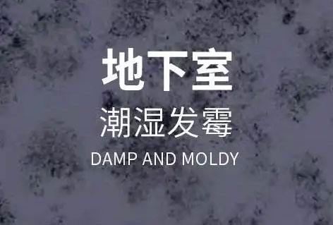 合肥地下室除湿防潮